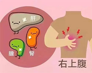 冬季胆结石“凶猛” 小石头危害大！